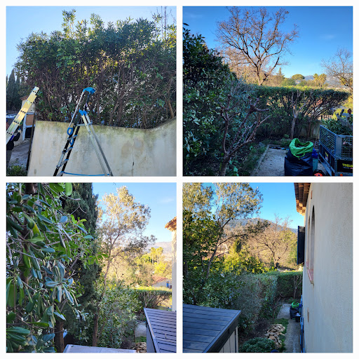 Photo de Sérénité Piscine et Jardins, multi services à Signes (83870)