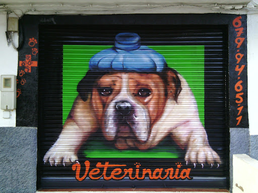Consulta veterinaria