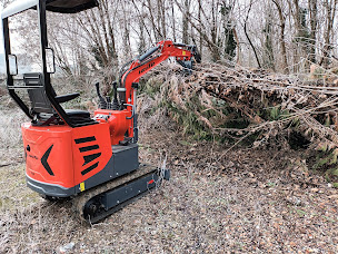 Photo n°2 de Vetter services à Mundolsheim (Paysagiste)