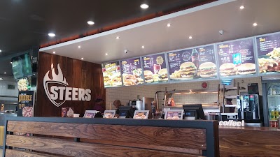 Photos of Steers