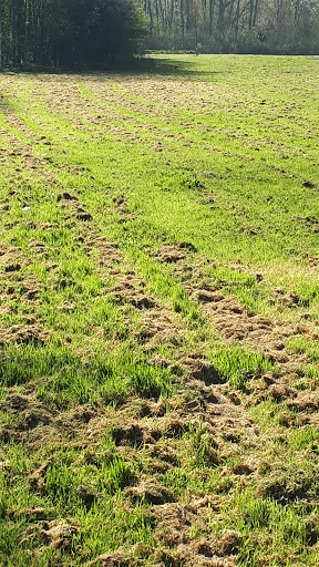 Velsen Noord, Velser Traverse