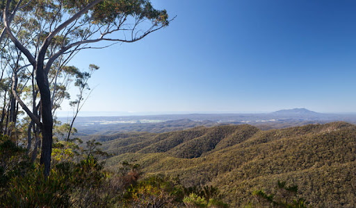 Deua National Park Gallery - Australia