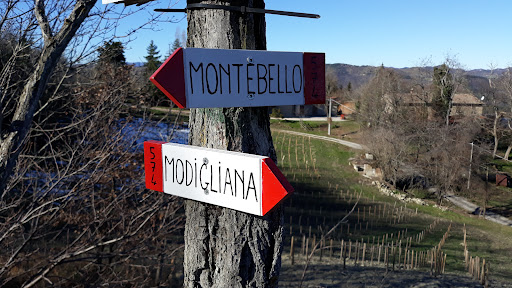 Monte Trebbio 604m - Visual