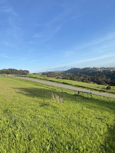 Bonita Gate Trailhead (EBRPD) Gallery - United States