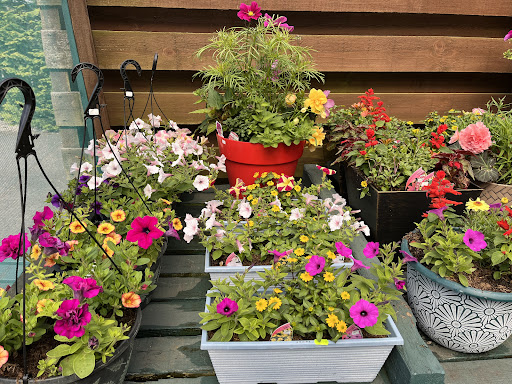 Carnoustie Farm Shop - Thumbnail