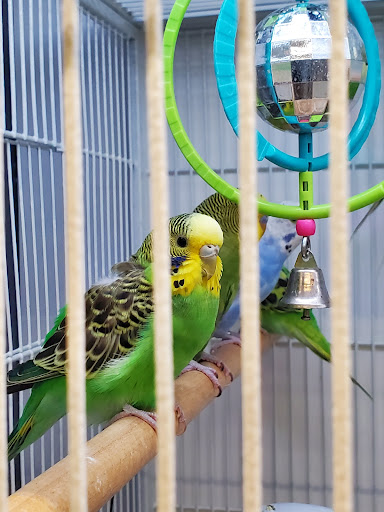 Pet Supplies Plus Wilkes Barre - Thumbnail