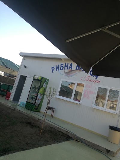 Photos of Рибна Борса Бисери