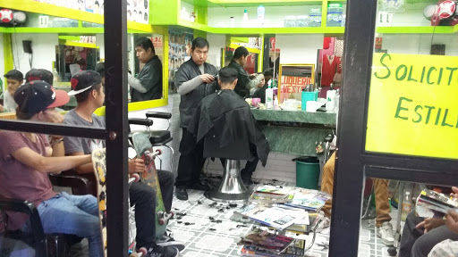 Peluquería y Barbería Silvestre - Thumbnail
