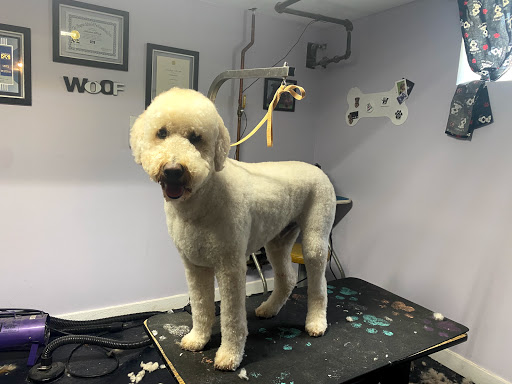Louie's Barker Shop