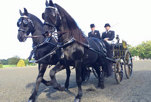T CRIBB & SONS Funeral Directors & Monumental Masons Romford | Essex - Thumbnail