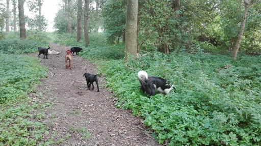 BergseBeestenBoel Dagopvang