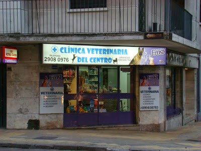 Veterinary Care