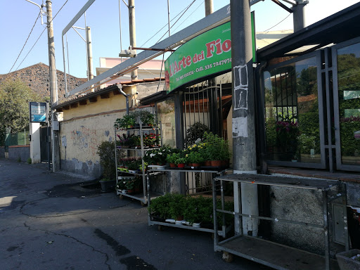 L'Arte Dei Fiori srls