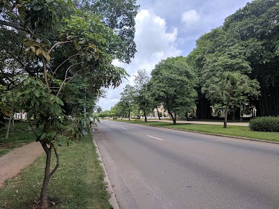 Photos of Parque Miramar