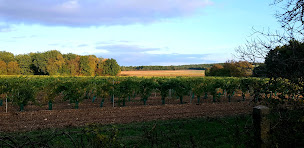 Photo n°79 de La Revêtizon à Neuvicq-le-Château (Gîte)