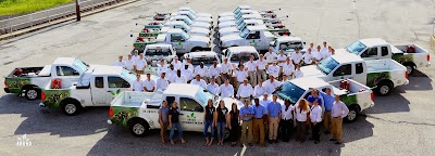 Photos of Akkad Pest Control Service