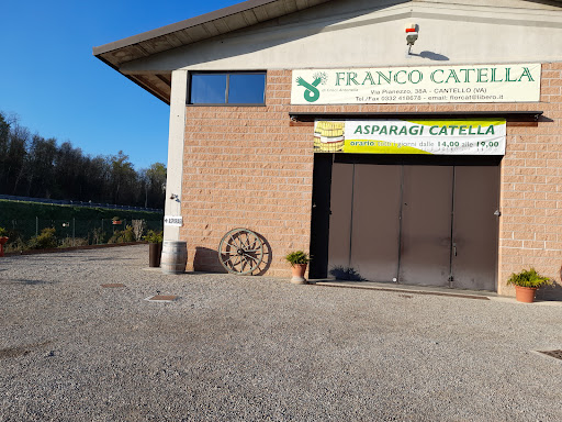 Franco Catella Gallery - Italy