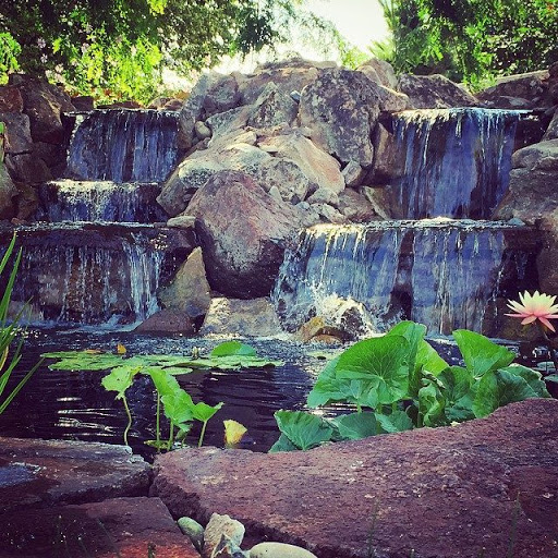 Pond Pro - Visual