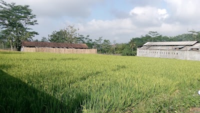 Photos of Nurseri Artos