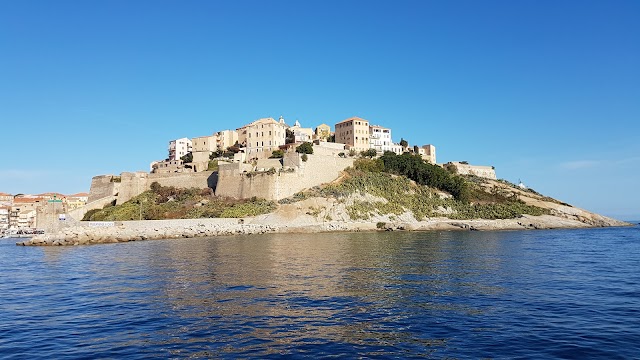 La Citadelle de Calvi