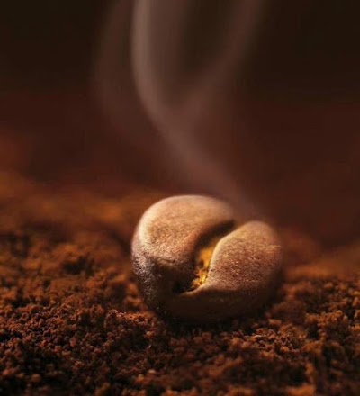 Photos of Caf&eacute; M.Maatouk