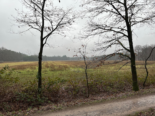 Maartensdijkse Bos - Utrechtslandschap Gallery - Netherlands