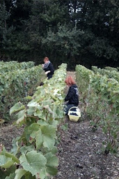Photo n°14 de Champagne Rahault à Saint-Denis-lès-Rebais (Établissement vinicole)