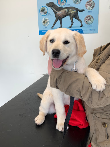 Barry's Vets