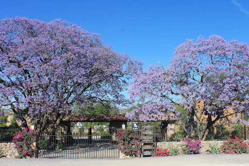 Los Remedios Vinícola. Hacienda. Residencial.