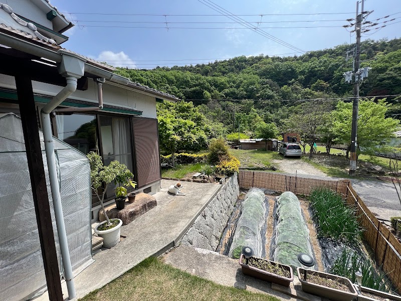 Natural English Life