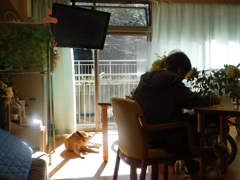 特別養護老人ホームさくらの里山科