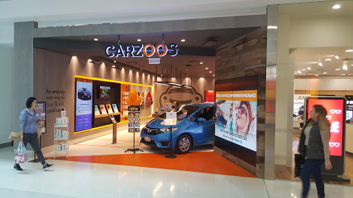 Carzoos - Visual
