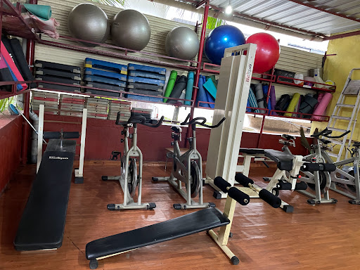 Body Basics Exclusive ladies fitness centre