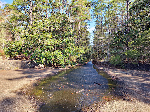 Scoutshire Woods - Thumbnail