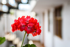 La Casa de Los Balcones 9