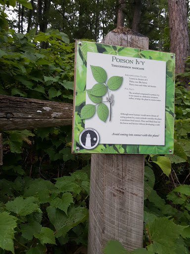 Black Lake State Forest Campground - Thumbnail