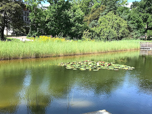 Parc Jean Beauquis - Thumbnail
