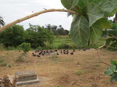 Photos of Kotu Bridge