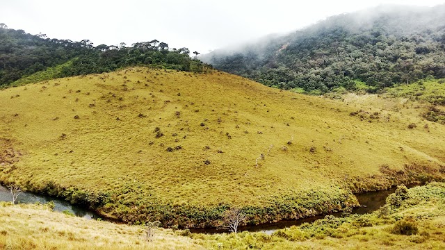 Horton Plains National Park