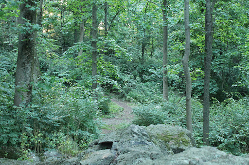 Woodcrest Retreat - Thumbnail