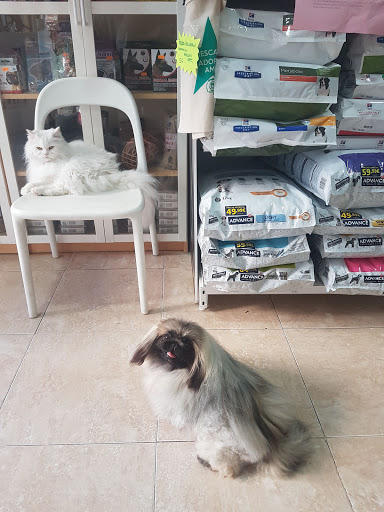 Veterinary Animal Care Center - Thumbnail