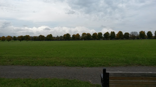 Town Field Primary School - Thumbnail