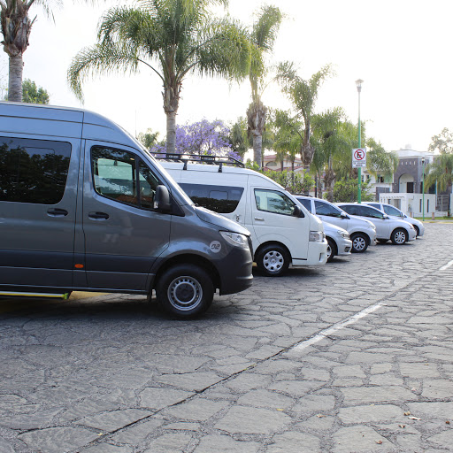 Transporte Programado - Visual