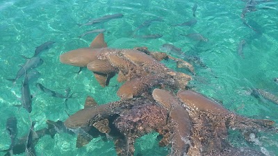 Photos of Cayo Espanto