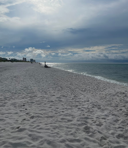 Sage Beach Chair Rentals - Thumbnail