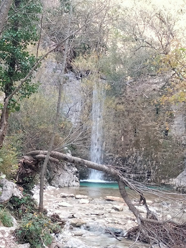 Tanella - Visual