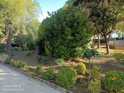 Emigrante Park - Visual