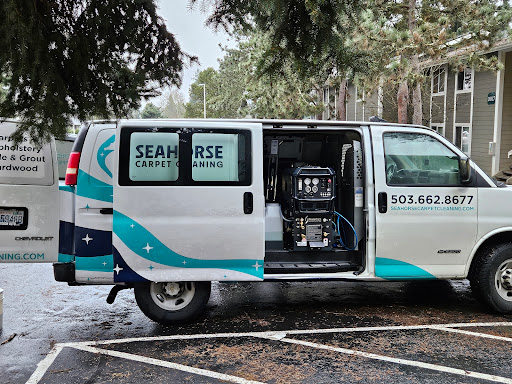 Seahorse Carpet Cleaning