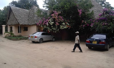 Photos of African Pot
