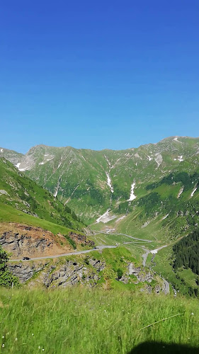 Județul Argeș - Pitești